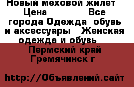 Новый меховой жилет › Цена ­ 14 000 - Все города Одежда, обувь и аксессуары » Женская одежда и обувь   . Пермский край,Гремячинск г.